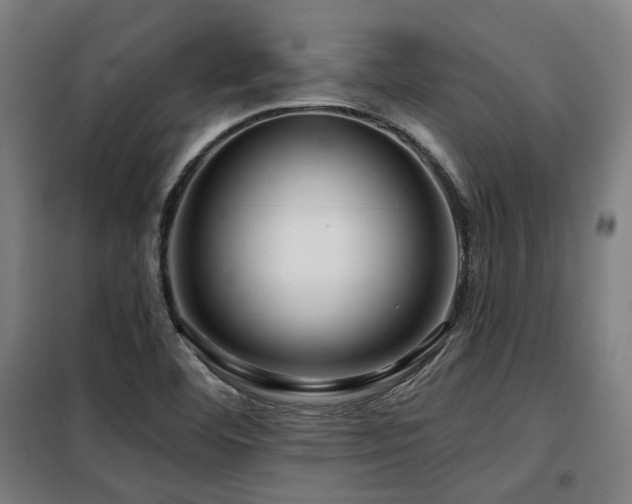 X0000098091460200804041209