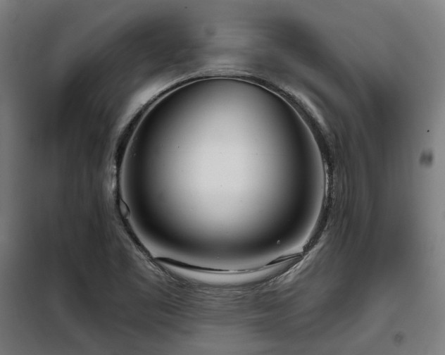 X0000098091461200804041209