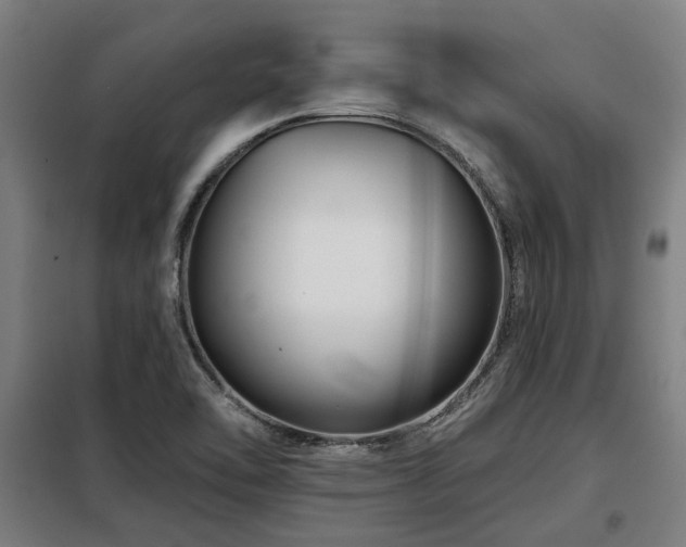 X0000098091462200804041209