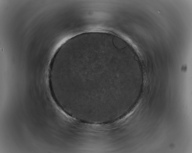 X0000098091463200804041209