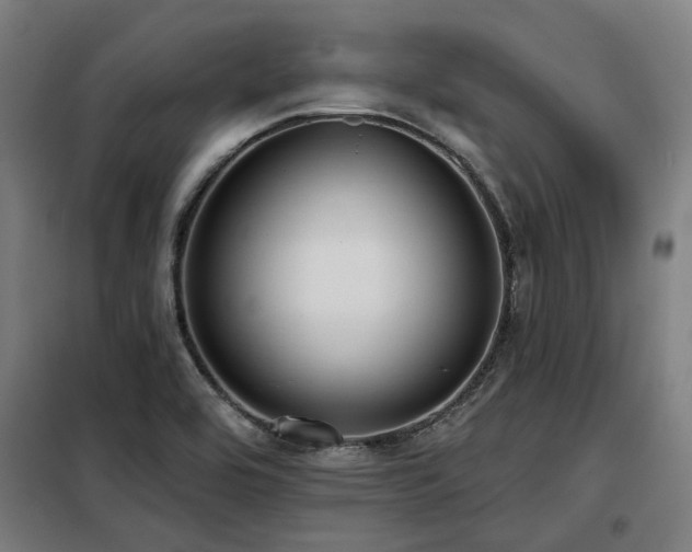 X0000098091464200804041209