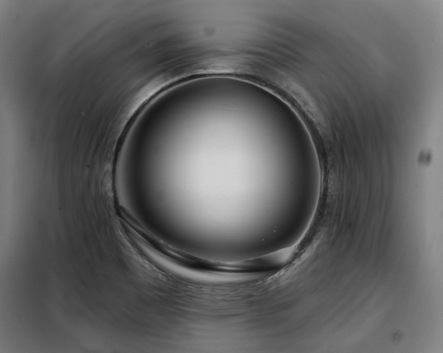 X0000098091465200804041209