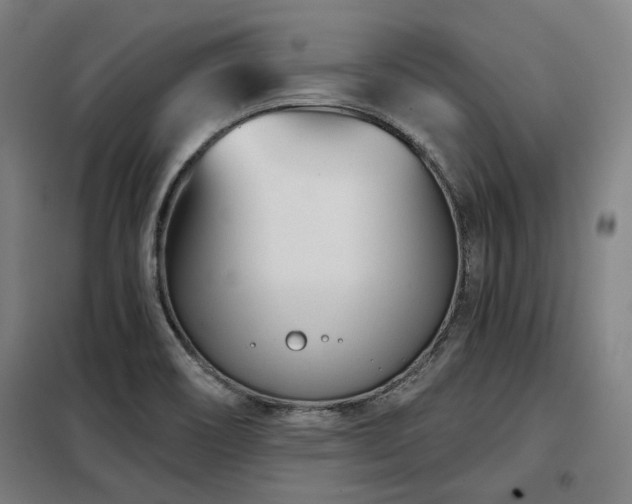 X0000098091466200804041209