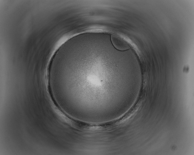 X0000098091467200804041209