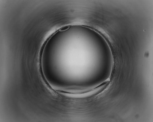 X0000098091469200804041209