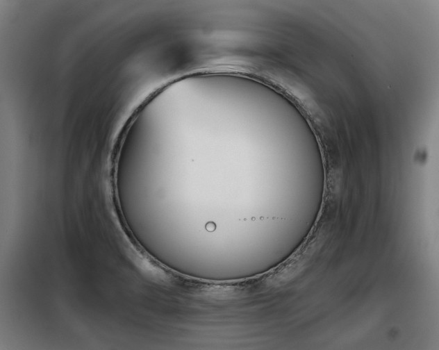 X0000098091470200804041209