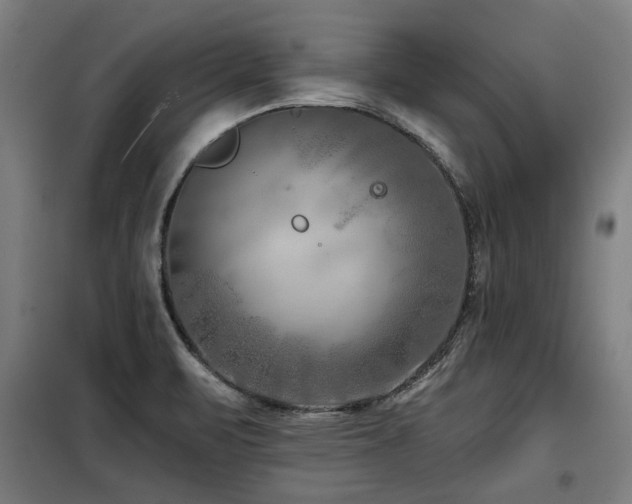 X0000098091471200804041209