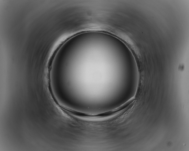 X0000098091472200804041209