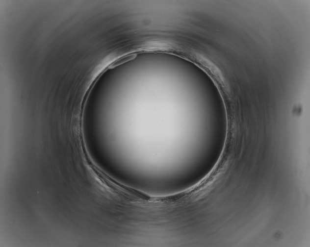 X0000098091473200804041208