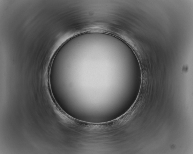 X0000098091474200804041208