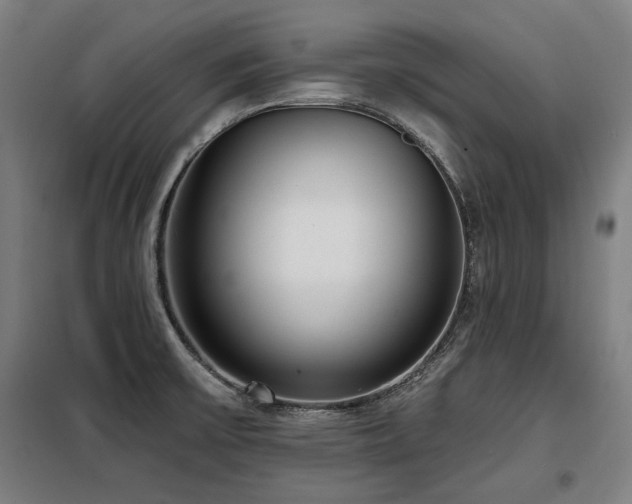 X0000098091475200804041208