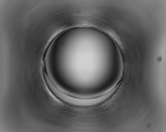 X0000098091476200804041208