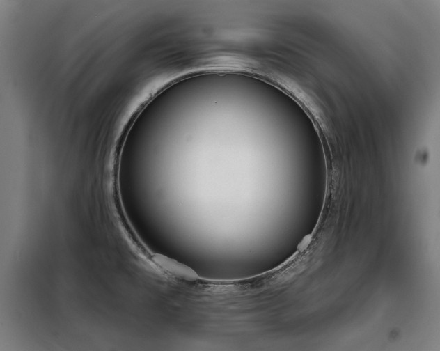 X0000098091477200804041208