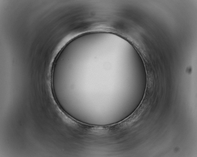 X0000098091478200804041208