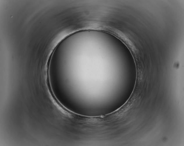 X0000098091479200804041208