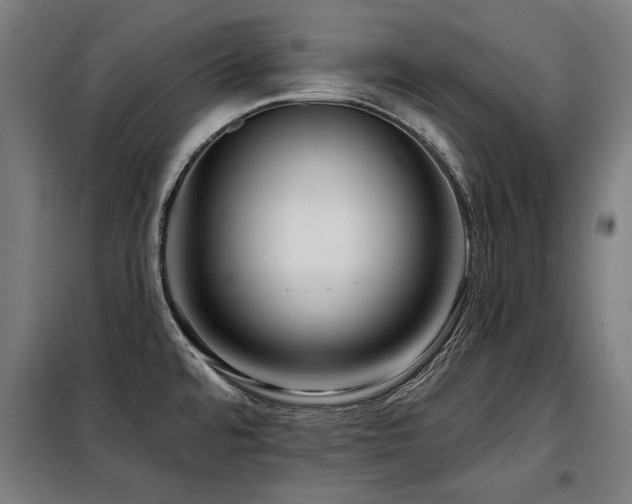 X0000098091480200804041208