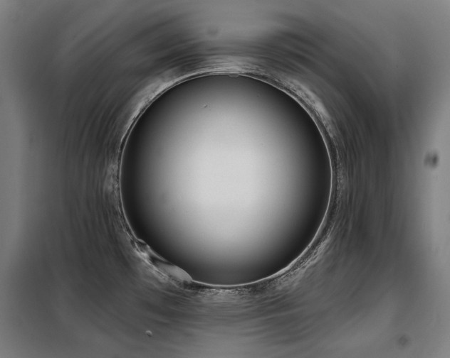 X0000098091481200804041208