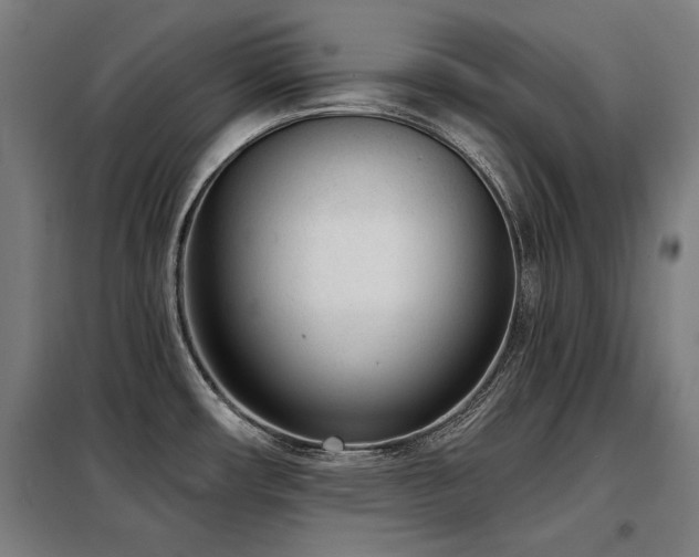 X0000098091482200804041208