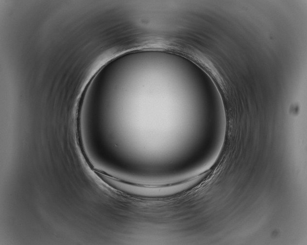 X0000098091483200804041208