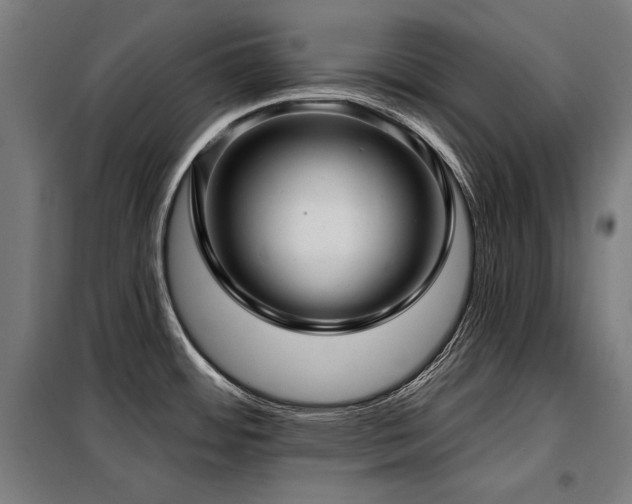 X0000098091484200804041208
