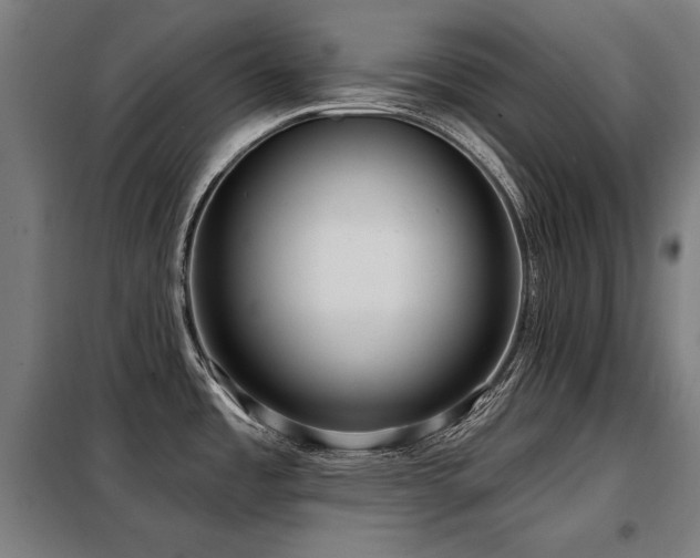 X0000098091485200804041208