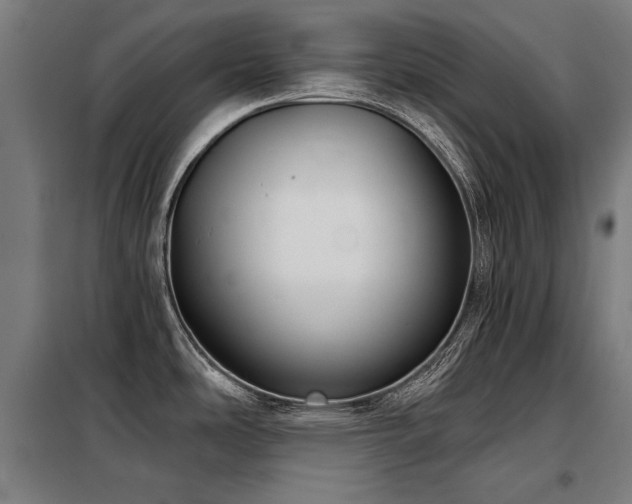 X0000098091486200804041208