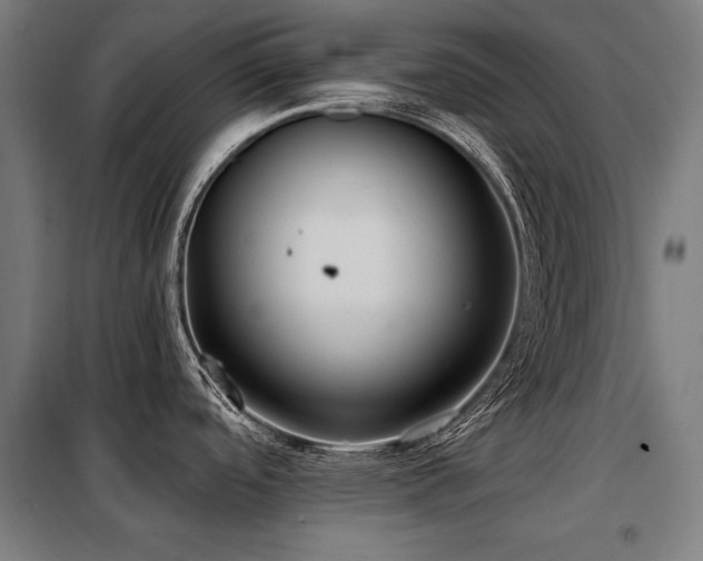 X0000098091488200804041208