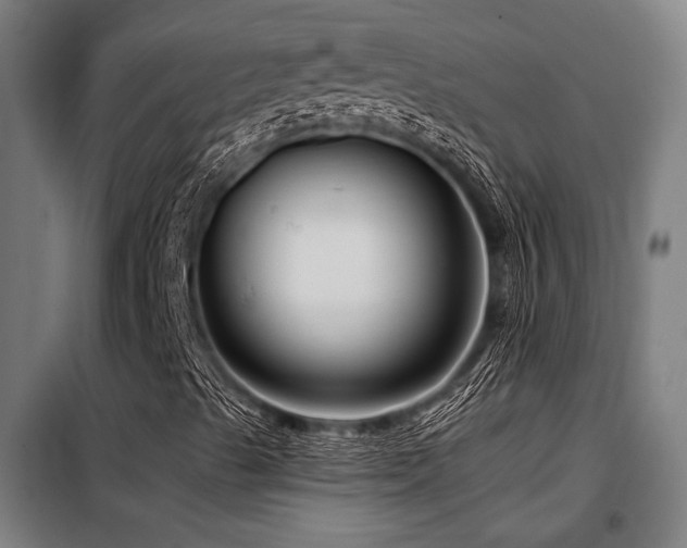 X0000098091489200804041207