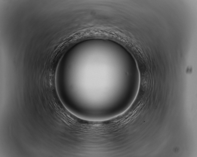 X0000098091490200804041207