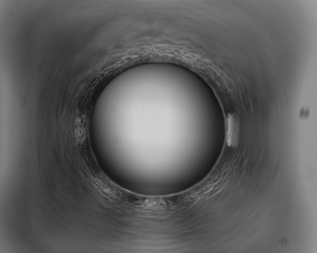 X0000098091491200804041207