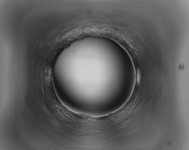 X0000098091492200804041208