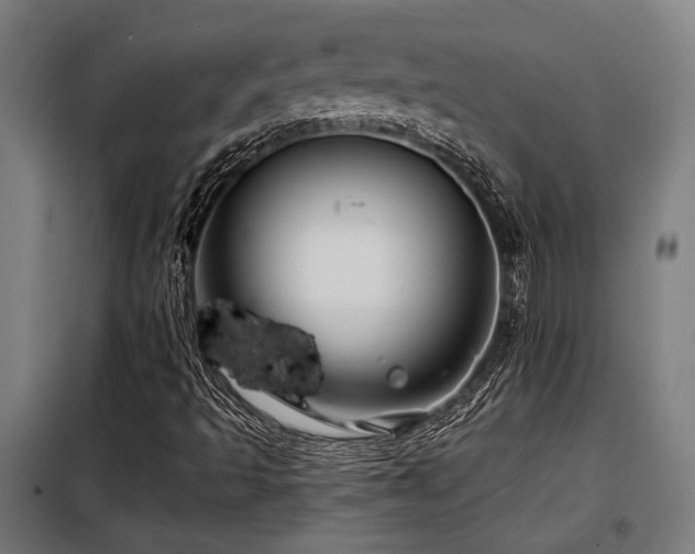 X0000098091493200804041208