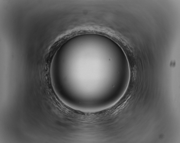 X0000098091494200804041208