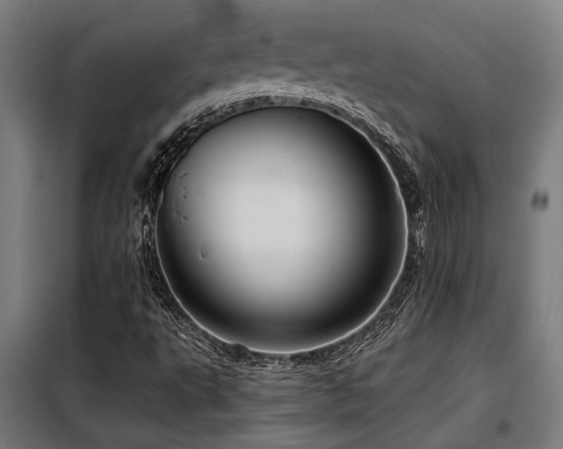 X0000098091495200804041208