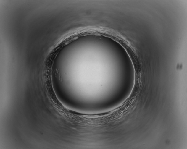 X0000098091496200804041208