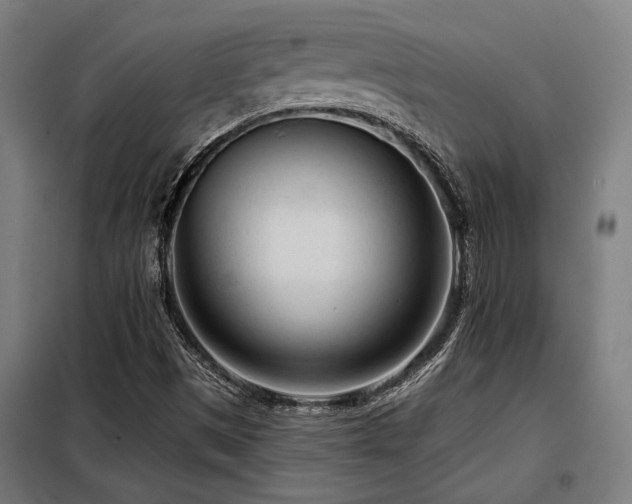 X0000098091497200804041208