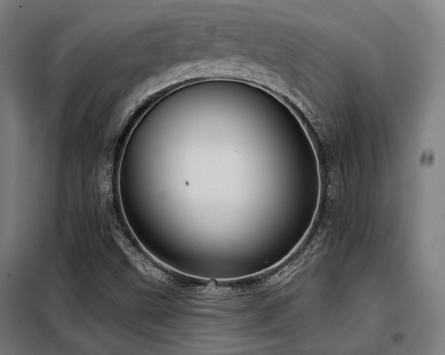 X0000098091499200804041208
