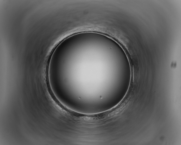 X0000098091500200804041208