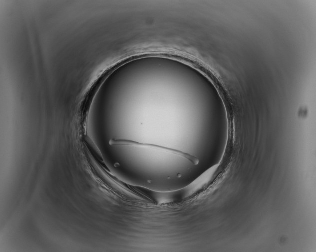 X0000098091501200804041208