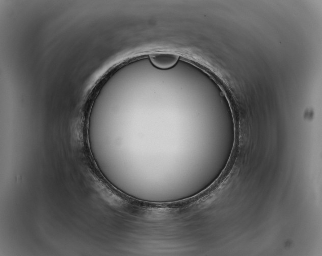 X0000098091502200804041208
