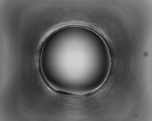 X0000098091504200804041208