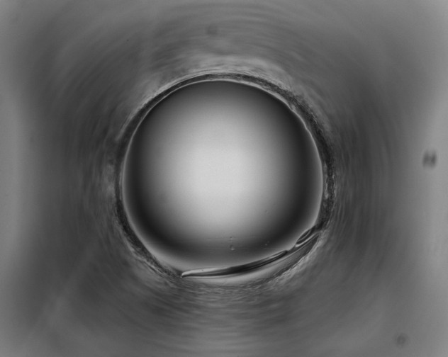 X0000098091505200804041208