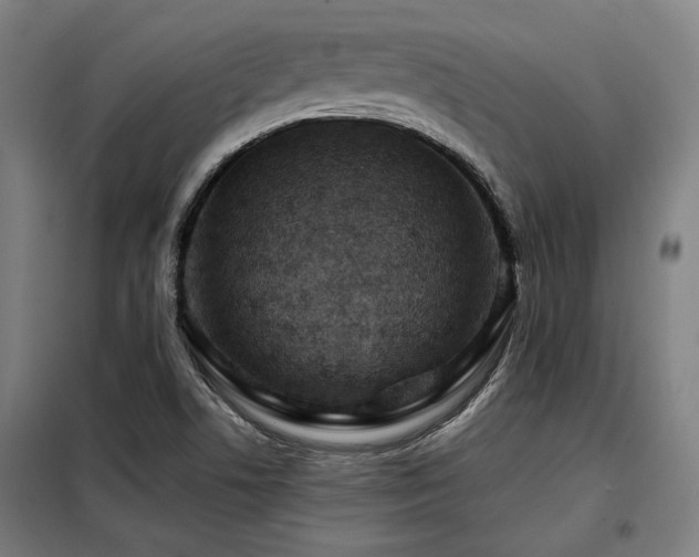 X0000098091506200804041208