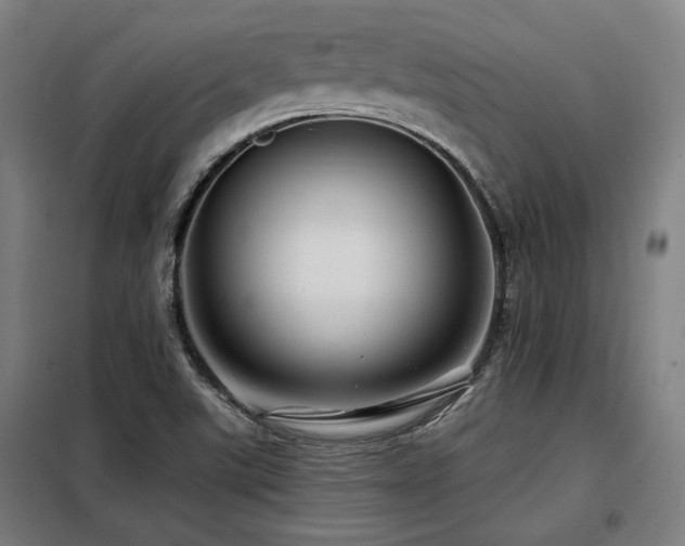 X0000098091507200804041208