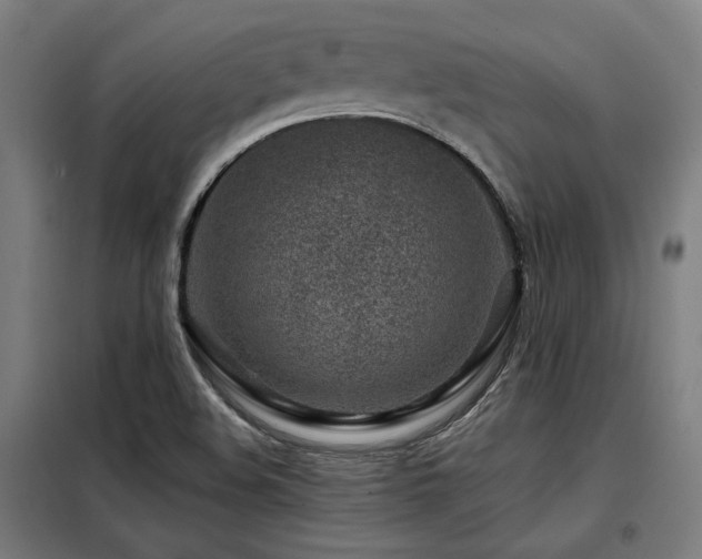 X0000098091508200804041208