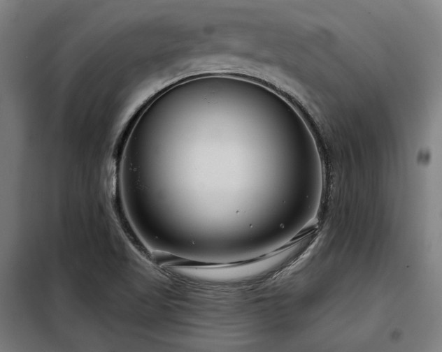 X0000098091509200804041208