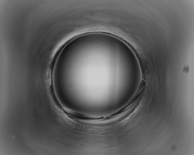 X0000098091510200804041208