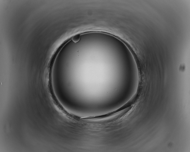 X0000098091511200804041208
