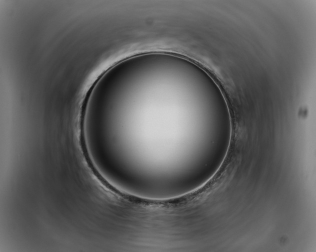 X0000098091512200804041208