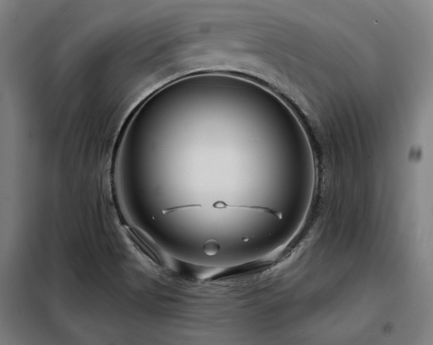 X0000098091513200804041208